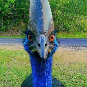 Meet your Posher, Trudy